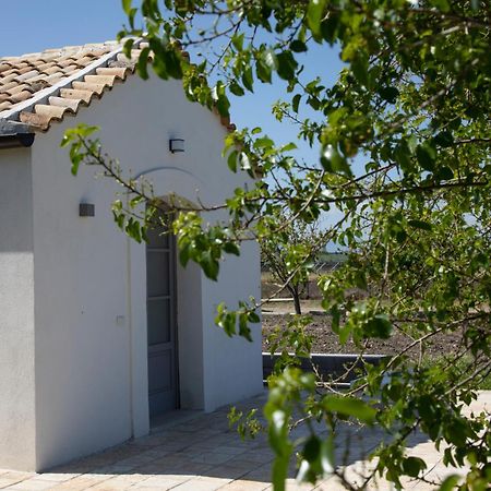 Masseria Celentano Relais & Agriturismo San Severo Exteriér fotografie